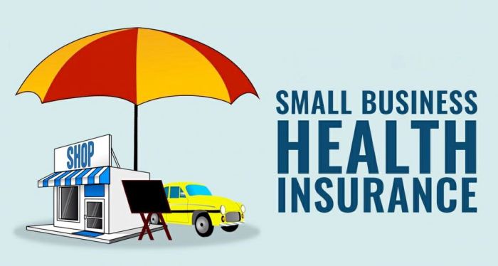 Insurance business small health group plans myers teresa november comments Group health insurance plans for small business