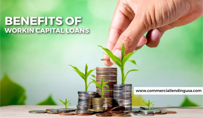 Unveiling the Best Working Capital Loans: A Comprehensive Guide for Business Success
