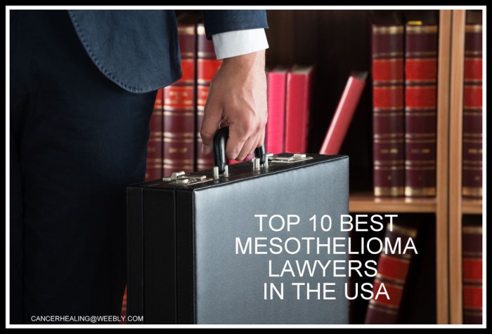 Top mesothelioma lawyers
