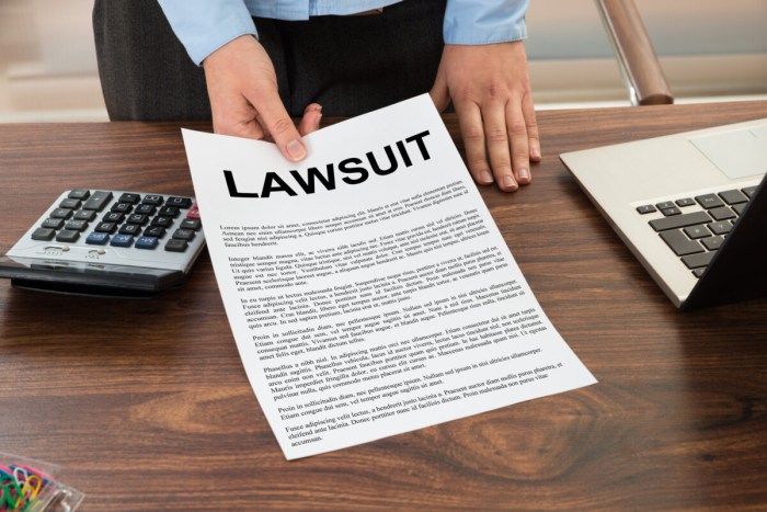 Civil litigation